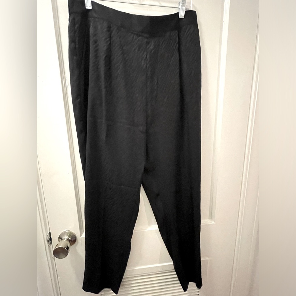 Leith Thin See Thru Black Pants